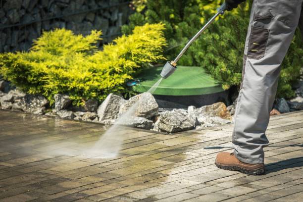 Best Fence Cleaning  in Vley Grande, AL
